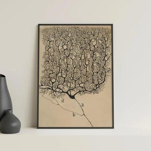 Neuron Painting Reproduction: Santiago Ramón y Cajal Canvas Art