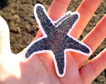 Puede incluir: Una pegatina de estrella de mar de color verde azulado y negro con un contorno blanco y un patrón moteado. La pegatina está en una mano con el texto "@greenwellart" en ella.