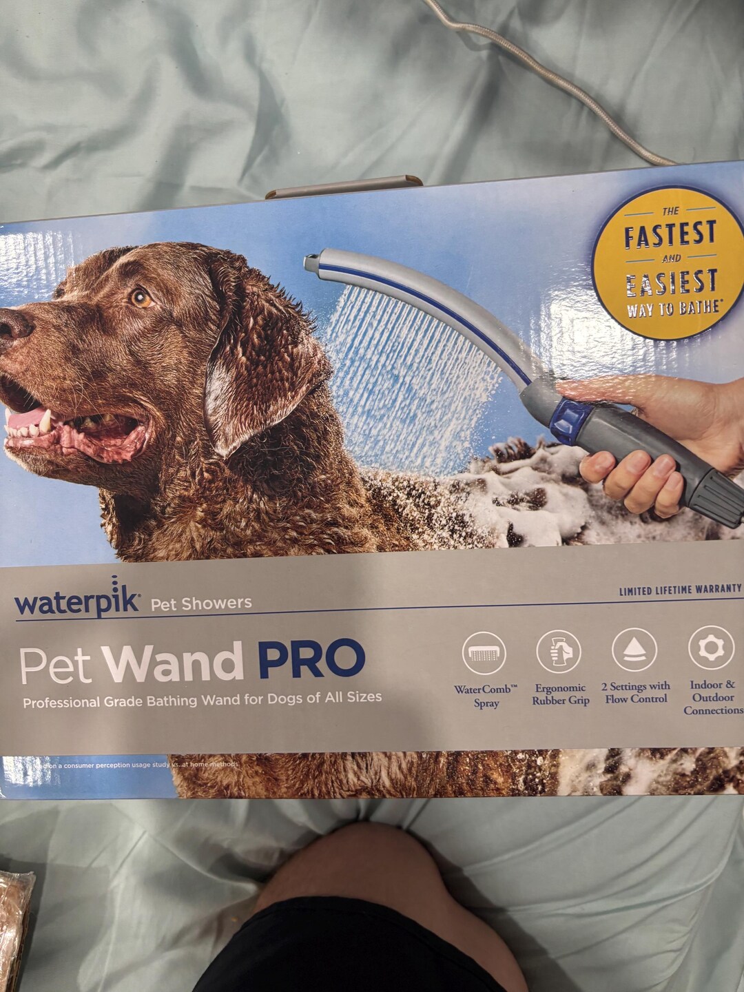 dog wash cupid doggie spa