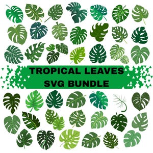 Op de afbeelding: Een verzameling groene tropische bladeren in verschillende vormen en tinten, waaronder de Monstera deliciosa. De tekst "TROPICAL LEAVES SVG BUNDLE" staat op een groene banner. De bladeren zijn op een witte achtergrond geplaatst.