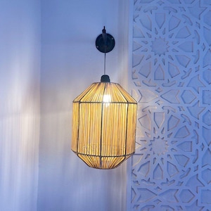 Raffia pendant light , hanging lamp shade in raffia