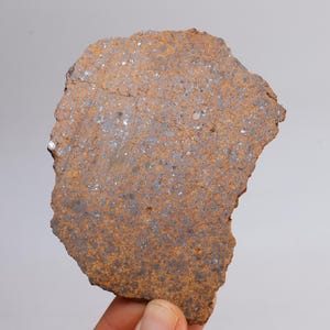 41g Chondrite Meteorite Slice,NWA unclassified Meteorite, From Northwest Africa,Astronomy Gift, Space Gift CU183