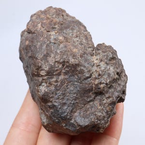 203g Chondrite Meteorite,NWA unclassified Meteorite, From Northwest Africa,Astronomy Gift, Space Gift CU482