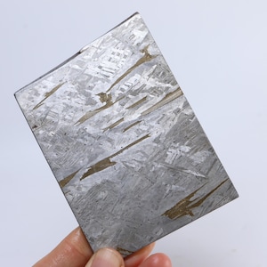 221g Meteorite Slice,Natural Muonionalusta block,Celestial Gift CU412