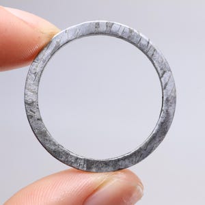 Circular Meteorite Slice,Natural Meteorite Slice,Meteorite gift,Celestial gift CU267