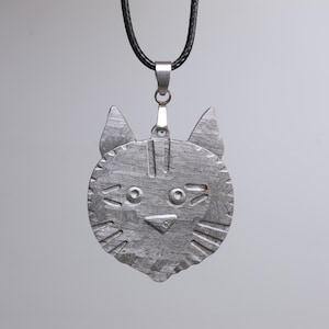 Cat Head Design Meteorit Anhänger, natürlicher Muonionalusta Meteorit geschnitzt, Meteorit Halskette, Geschenk CU173