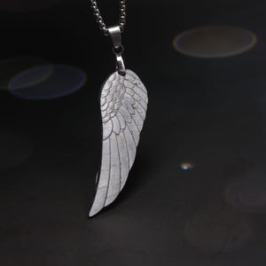 Wing Meteorite Pendant, Natural Muonionalusta meteorite carved ,Meteorite Necklace