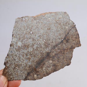 54g Chondrite Meteorite Slice,NWA unclassified Meteorite, From Northwest Africa,Astronomy Gift, Space Gift CU181