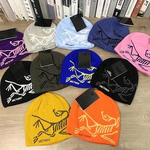 Arcteryx skull cap - Etsy 日本