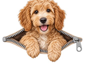 Goldendoodle Puppy PNG - Zipper Dog Clipart, Sublimation Design
