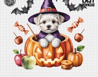 Maltese Puppy Dog Halloween Clipart, Cute Puppy Clipart, Halloween Nursery Clipart, Witch Hat, Jack O Lantern, Dog Halloween Png