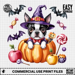 Halloween Boston Terrier Puppy Dog Png, Witch Dog Clipart, Pumpkin Png, Boston Terrier, Halloween Png, Sublimation Png, Digital Download