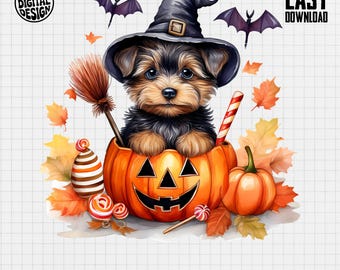 Halloween Yorkshire Terrier Puppy Dog Clipart, Cute Puppy Clipart, Halloween Clipart, Pumpkin Clipart, Puppy Png, Witch Dog, Halloween Puppy