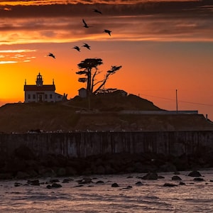 May include: A scenic sunset over a coastal landscape. A white lighthouse sits atop a small hill, silhouetted against the vibrant orange and yellow sky. Birds fly above the scene, and a stone wall lines the water's edge.