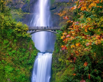 May include: A concrete bridge spans a cascading waterfall in a lush green forest. The water flows over the edge of a cliff, creating a dramatic scene. The foliage is a mix of green and yellow, with some trees showing signs of autumn.
