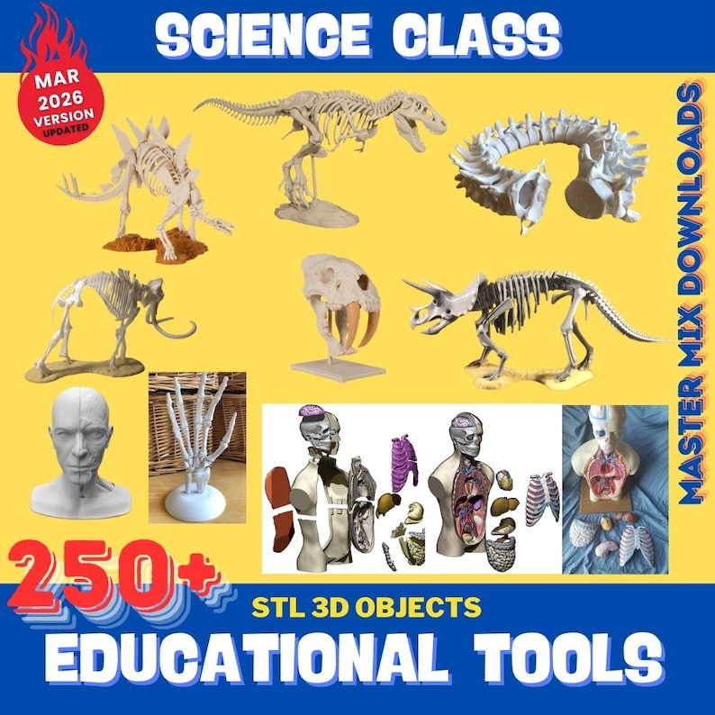 Educational 3D Printer STL Bundle – 250+ Classroom Tools, Math Supplies, Science Models & Homeschool Resources image 7