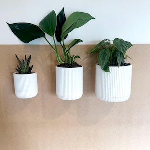 Mid-Century Vertical Hanging Wall Planter with removable drip tray