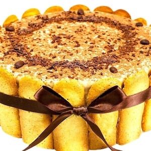 Puede incluir: Un pastel de tiramisú redondo decorado con cacao en polvo y granos de café, rodeado de bizcochos de soletilla y una cinta marrón.