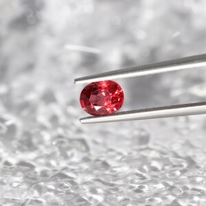 Può includere: Una gemma rossa dal taglio ovale tenuta da una pinzetta in metallo color argento. La pietra presenta una superficie sfaccettata che riflette la luce, mostrando una profonda tonalità cremisi e un aspetto chiaro e lucido nella presa.