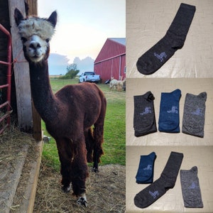 Alpaca Crew Socks Medium USA Made image 1