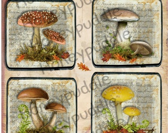 Journal cards, Nature inspired, Toadstools, Mushrooms, Butterflies Printable ephemera digital download