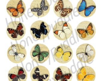 Butterflies  Collage sheet, Bugs, Nature inspired, Butterfly circles, 1.5 inch, Planner, Journal, envelope seals, ephemera digital download