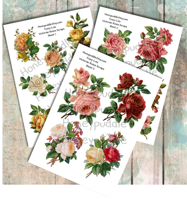 Download Vintage Roses Fussy Cuts Victorian Scraps Roses Junk | Etsy