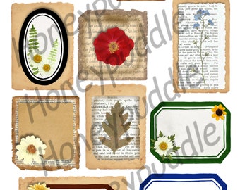 Pressed Flowers Digital Collage sheet, Florals, Botanical,  Nature inspired, Labels, Journal, envelope seals, ephemera digital download