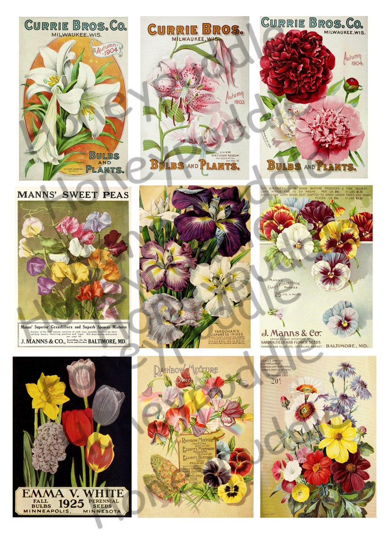 Journal cards,Tags, Seed Packets, Printable ephemera digital download image 1