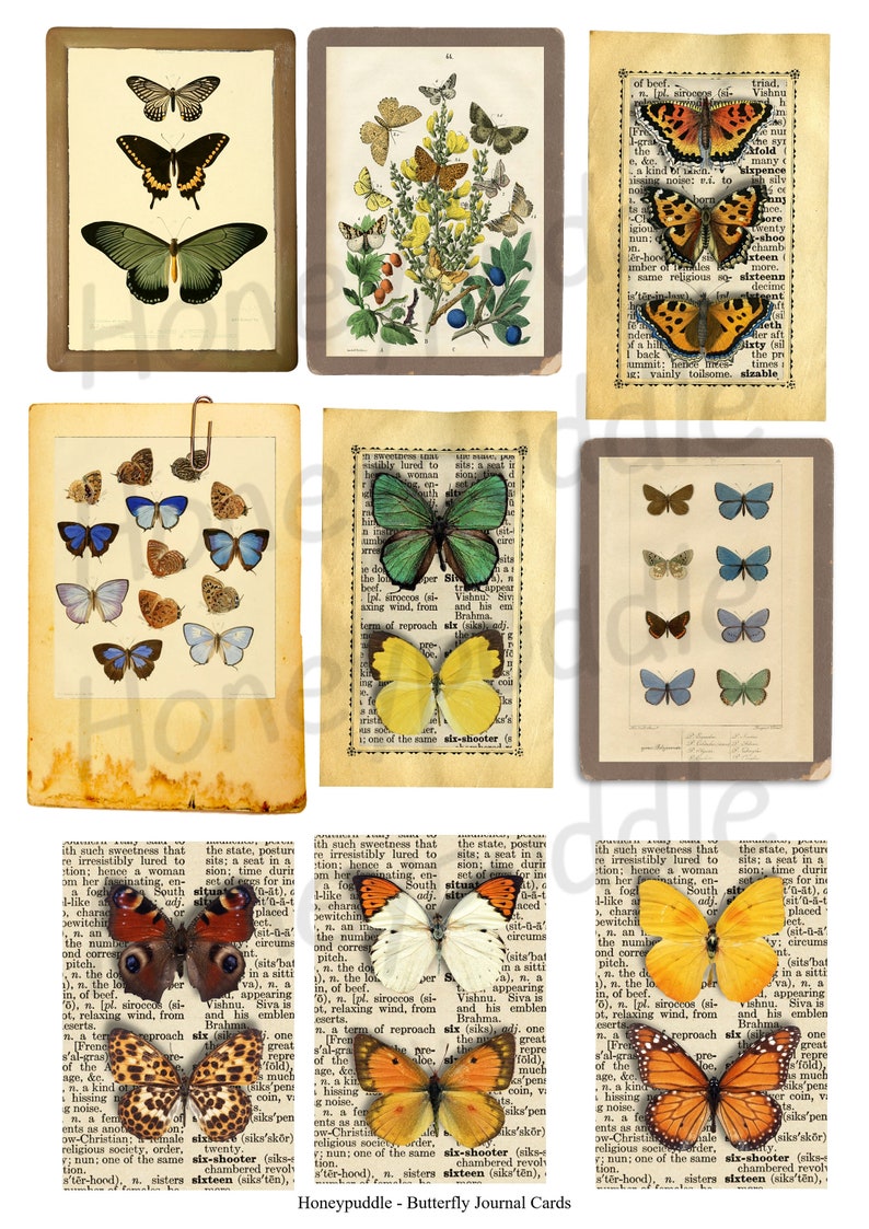 Butterfly Journal cards, Nature inspired, Butterflies Printable ephemera, Butterfly Collage Sheet, digital download image 1