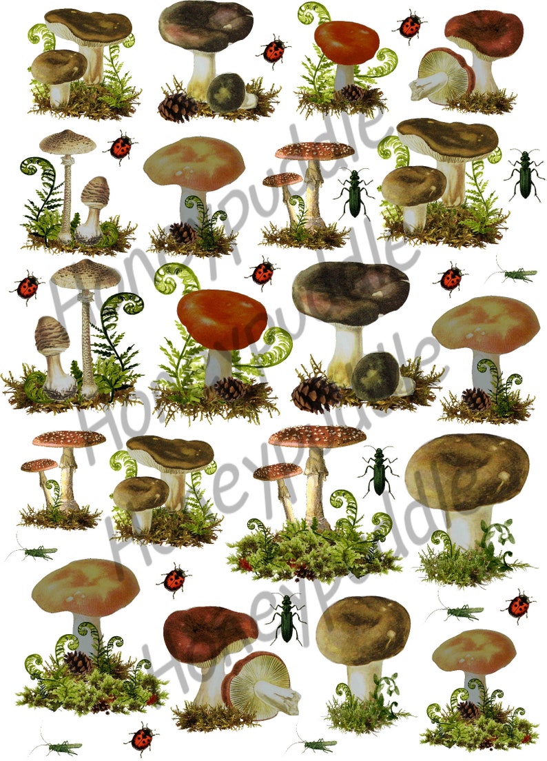 Toadstools Collage sheet, Fussy cut sheet, Mushrooms, Bugs, Nature inspired, Jibid inspired, Planner, Journal, ephemera digital download image 1