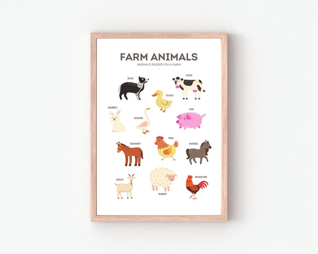 Farm Animals Educational Poster: Kids Classroom Decor (digital Download ...