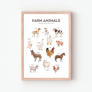 Póster de animales de granja, póster educativo, decoración del aula, póster Montessori, póster de animales de granja, descarga digital, decoración de habitación infantil