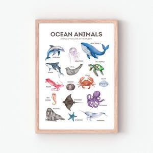 Póster de animales del océano, póster educativo, decoración del aula, póster Montessori, póster de animales marinos, descarga digital, decoración de habitación infantil