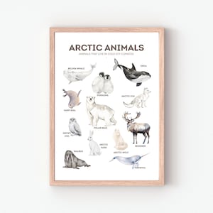 Póster de animales árticos, póster educativo, decoración del aula, póster Montessori, póster de animales polares, descarga digital, decoración de habitación infantil