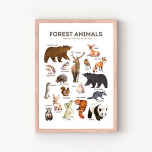 Affiche animaux de la forêt, affiche éducative, décoration de salle de classe, affiche Montessori, affiche d'animaux sauvages, téléchargement numérique, décoration de chambre d'enfant