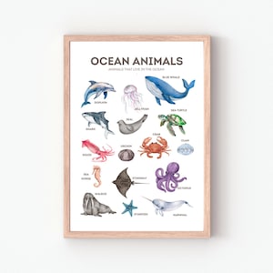 Ocean Animals Poster, Educational Poster, Classroom Decor, Montessori Poster, Sea Animals Poster, Digital Download, Kids Room Decor