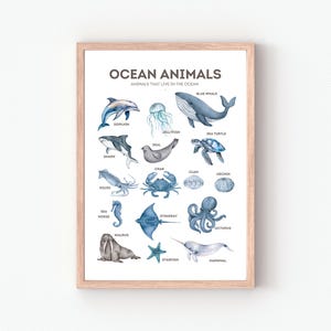 Poster con animali dell'oceano, poster educativo, decorazioni per aule, poster Montessori, poster con animali marini, download digitale, decorazioni per camerette