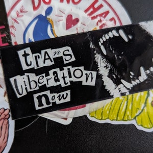 6.8cm x 3cm (2.6" x 1.18") "Trans Liberation Now" Vinyl Stickers