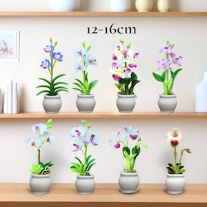 Könnte beinhalten: Eine Sammlung künstlicher Orchideen in kleinen weißen Töpfen. Die Orchideen weisen verschiedene Farben auf, darunter Blau, Weiß, Rosa und Lila. Die Pflanzen sind 12-16 cm hoch und auf einem Holzregal angeordnet.
