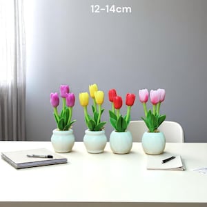 May include: Four small potted tulip arrangements in shades of pink, yellow, and red. Each arrangement is in a white ceramic pot. The tulips are 12-14cm tall. The arrangements sit on a white table with a notebook and pen.