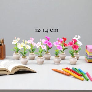 May include: A collection of miniature potted flowers with white, pink, and red blooms. The text "12-14 cm" is above the flowers. The flowers are in small, light-colored pots, arranged on a light-colored surface.