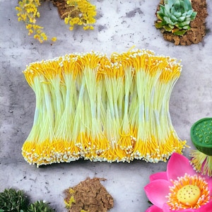 Künstliche handgemachte Blume Staubgefäße Pollen und Blumen Handwerk Lieferungen für Fake Clay Blume und Geschenke Karte Dekoration für Mutter, Oma Tag