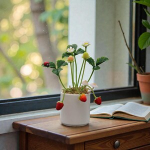 Pode incluir: Um vaso de cerâmica branco com uma planta de morango em miniatura. A planta apresenta folhas verdes, flores brancas e morangos vermelhos. Uma pequena joaninha repousa numa folha. O vaso está sobre uma superfície de madeira perto de uma janela.