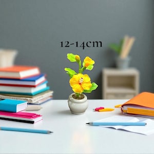 May include: A miniature yellow hibiscus flower in a small white pot, with green leaves and buds. The image shows the flower on a white surface, with books and pens in the background. The text "12-14cm" is above the flower.