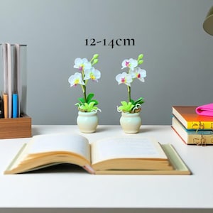 May include: Two artificial orchid plants in small cream pots, each with white and pink flowers and green leaves. The plants are 12-14cm tall. An open book and a stack of books are on the white surface.