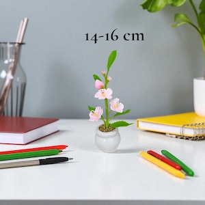 Op de afbeelding: Een kleine bloeiende plant in een kleine, witte keramische pot. De plant heeft roze bloesems en groene bladeren. De tekst "14-16 cm" staat boven de plant. Pennen en notitieboekjes liggen op het witte oppervlak.