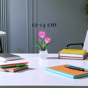 May include: A small, white potted plant with pink tulips, measuring 12-14 cm (4.7-5.5 inches) tall. The plant sits on a white desk, surrounded by notebooks and pens. The text "12-14 cm" is visible above the plant.