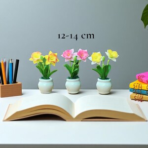 May include: Three miniature potted plants with yellow, pink, and white flowers, each in a white ceramic pot. The plants are 12-14 cm tall. An open book is in the foreground.