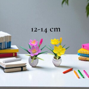 May include: Two small potted flower arrangements with pink and yellow blooms. The text "12-14 cm" is above the flowers. The flowers are in white ceramic pots. Pens and notebooks are in the background.